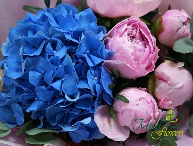 Bouquet with blue hydrangea and peonies ''Carnival'' photo